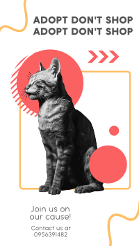 Adopt a Pet Movement Facebook Story Design