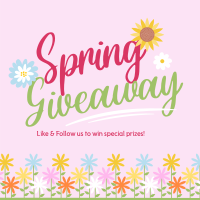Hello Spring Giveaway Instagram post Image Preview