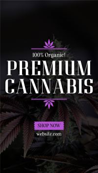 High Quality Cannabis Instagram Story Design