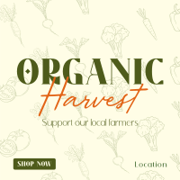 Organic Harvest Instagram post Image Preview
