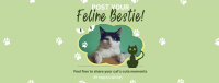Cat Appreciation Post Facebook Cover Design