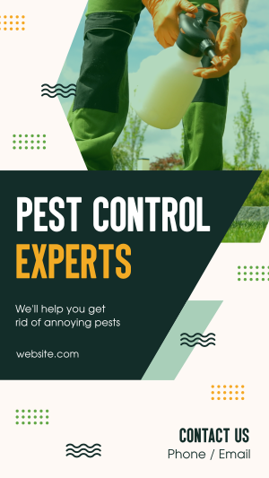 Pest Control Experts Instagram story Image Preview