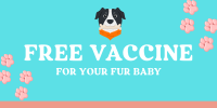 Quirky Dog Vet Vaccine Twitter post Image Preview