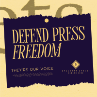 Defend Press Freedom Instagram post Image Preview