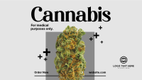 Medicinal Cannabis Animation Design