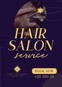 Professional Hairstylists Poster Design