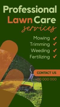 Professional Lawn Care Services YouTube Short Preview