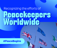 International Day of United Nations Peacekeepers Facebook post Image Preview