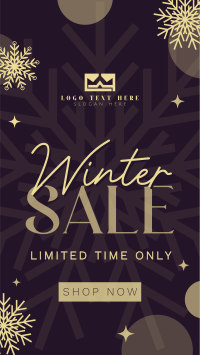 Winter Snowball  Sale Instagram reel Image Preview