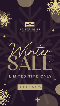 Winter Snowball  Sale Instagram Reel Image Preview