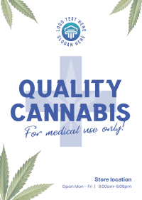 Quality Cannabis Plant Flyer Image Preview
