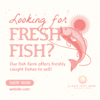 Fresh Fish Farm Linkedin Post Image Preview