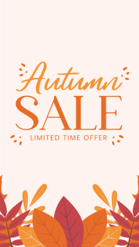 Autumn Limited Offer Instagram Story Design