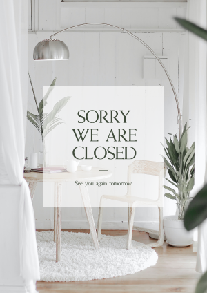Sorry We Are Closed Flyer Image Preview