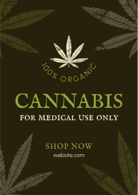 Cannabis Cures Flyer Image Preview