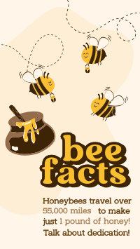 Honey Bee Facts Facebook Story Design