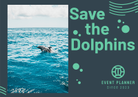 Join Us Aquatic Dolphin Postcard Design