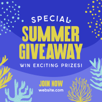 Corals Summer Giveaway Instagram post Image Preview