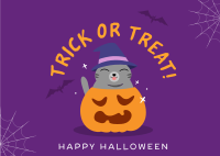 Halloween Cat Postcard Design