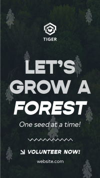 Forest Grow Tree Planting Instagram story Image Preview