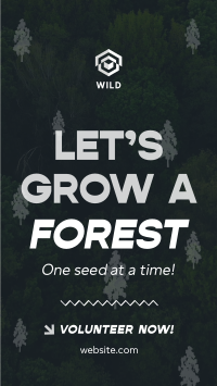 Forest Grow Tree Planting Instagram Story Design