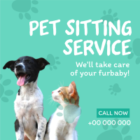 Pet Sitting Service Instagram post Image Preview
