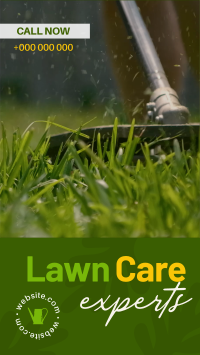 Lawn Care Experts TikTok video Image Preview