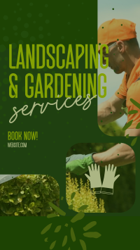 Landscaping & Gardening Instagram Reel Preview