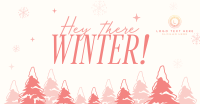 Hey There Winter Greeting Facebook Ad Design