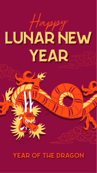 Lunar Year Chinese Dragon TikTok Video Image Preview