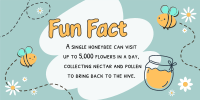 Bee Day Fun Fact Twitter post Image Preview