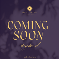 Luxury Stay Tuned Instagram post Image Preview