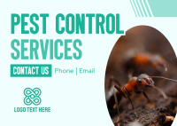 Pest Control Business Services Postcard Design