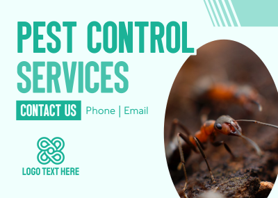 Pest Control Business Services Postcard Image Preview