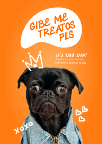 Gibe Doge Treatos Flyer Image Preview