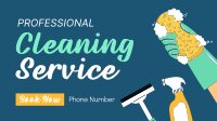 Professional Cleaner Video Image Preview