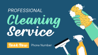 Professional Cleaner Video Preview