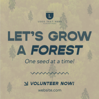 Forest Grow Tree Planting Linkedin Post Image Preview