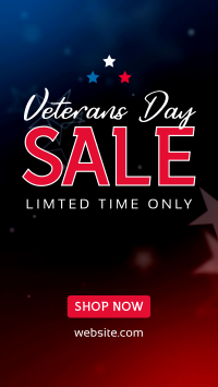 Veterans Medallion Sale Facebook Story Design
