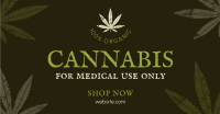 Cannabis Cures Facebook ad Image Preview