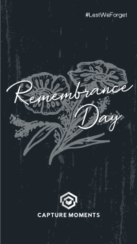 Remembrance Poppies TikTok Video Image Preview