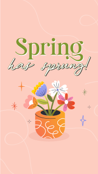 Spring Flower Pot YouTube short Image Preview