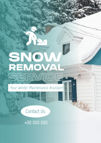 Pro Snow Removal Poster Image Preview