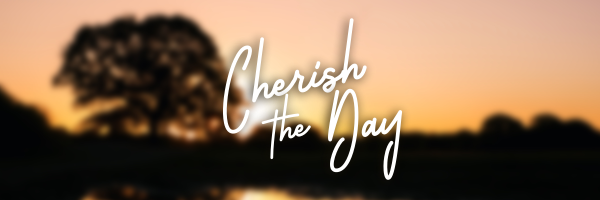 Cherish The Day Twitter Header Design Image Preview