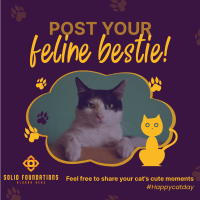 Cat Appreciation Post  Instagram post Image Preview