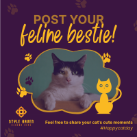 Cat Appreciation Post  Instagram post Image Preview