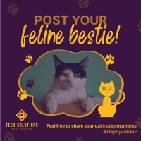 Cat Appreciation Post  Instagram post Image Preview