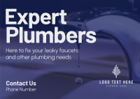 Expert Plumbers Postcard Image Preview