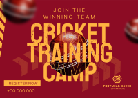 Grunge Cricket Training Camp Postcard Image Preview