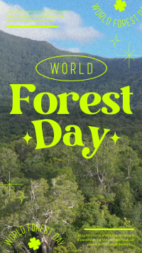 World Forest Day  Video Image Preview